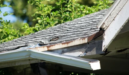 Storm Damage Restoration